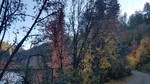 photo thumbnail #7