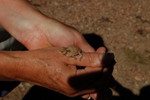 photo thumbnail #7
