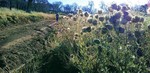 photo thumbnail #2
