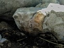 photo thumbnail #10