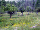 photo thumbnail #11