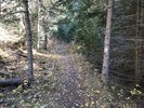 photo thumbnail #4