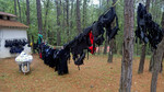 photo thumbnail #1