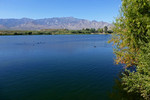 photo thumbnail #12