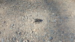 photo thumbnail #13