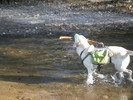photo thumbnail #2