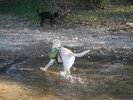 photo thumbnail #3