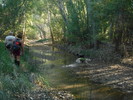 photo thumbnail #8