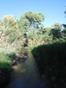photo thumbnail #13
