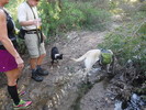 photo thumbnail #14