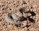 photo thumbnail #4