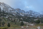 photo thumbnail #1