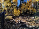 photo thumbnail #1