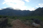 photo thumbnail #3