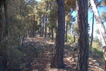 photo thumbnail #8