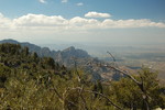 photo thumbnail #9