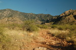 photo thumbnail #10