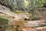 photo thumbnail #2