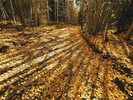 photo thumbnail #1