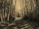 photo thumbnail #6