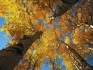 photo thumbnail #11