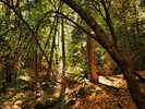 photo thumbnail #4