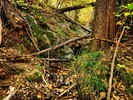 photo thumbnail #8