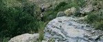 photo thumbnail #14