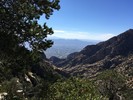 photo thumbnail #3