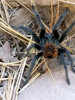 photo thumbnail #3
