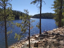 photo thumbnail #7