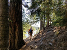 photo thumbnail #8