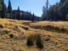 photo thumbnail #11