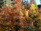 photo thumbnail #12