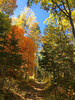 photo thumbnail #3