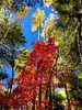 photo thumbnail #10