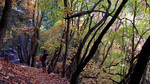 photo thumbnail #12