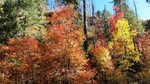 photo thumbnail #12