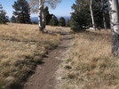 photo thumbnail #1