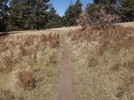 photo thumbnail #4