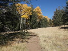 photo thumbnail #6
