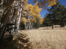 photo thumbnail #7