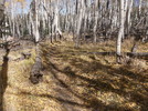 photo thumbnail #9