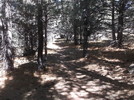 photo thumbnail #10