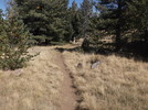 photo thumbnail #11