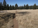 photo thumbnail #12