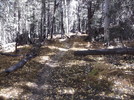 photo thumbnail #14