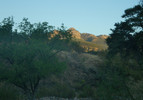 photo thumbnail #1