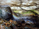 photo thumbnail #15
