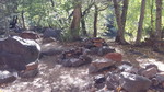 photo thumbnail #4